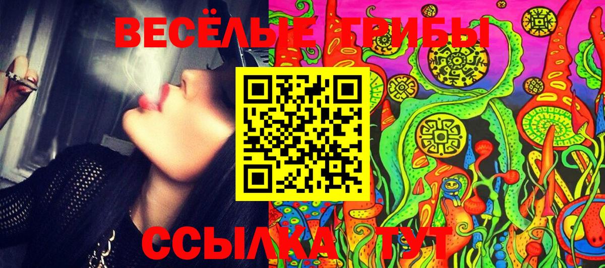 Галлюциногенные грибы Cubensis  Галлюциногенные грибы Psilocybe  Ростов Великий  Вход с VPN 