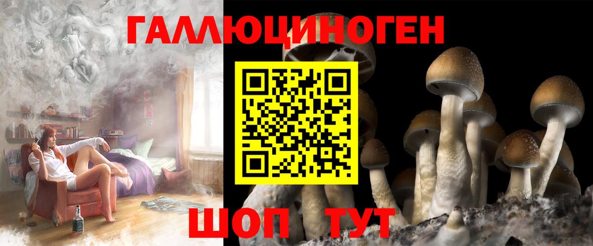 Псилоцибиновые грибы ЛСД Ростов Великий